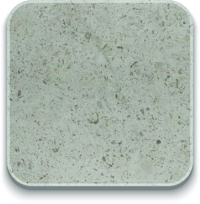 Mocha Cream Limestone